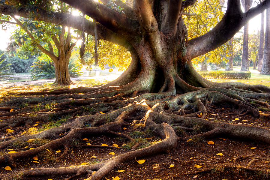 I am grounded today – Eryn Pernarelli, C.C.
